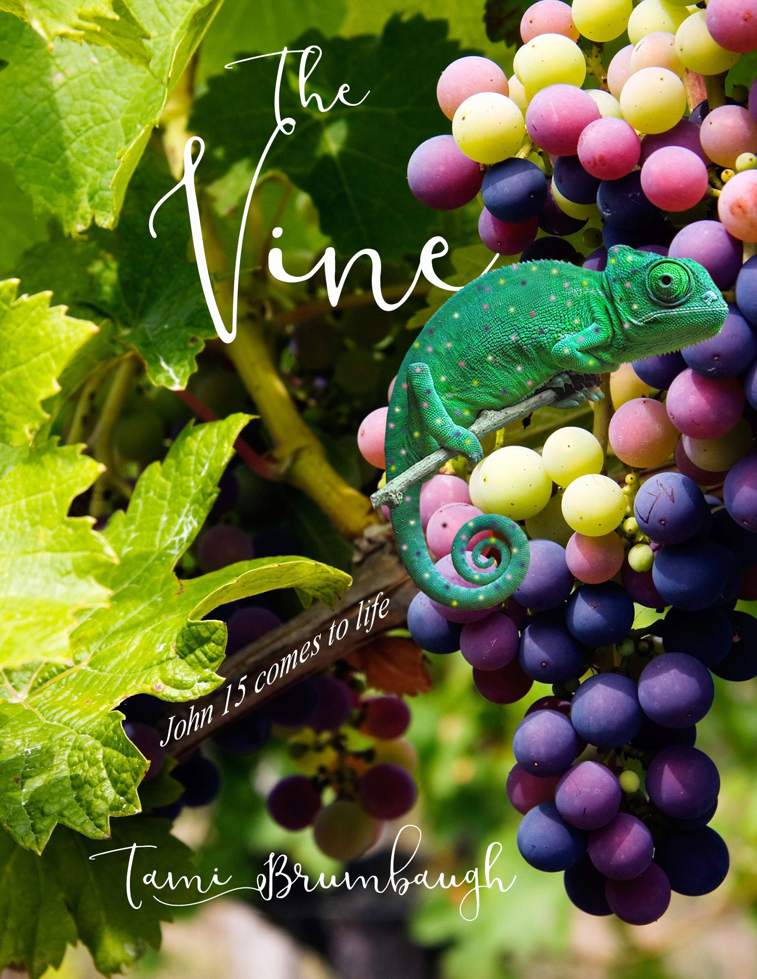 The Vine Cover_FINAL